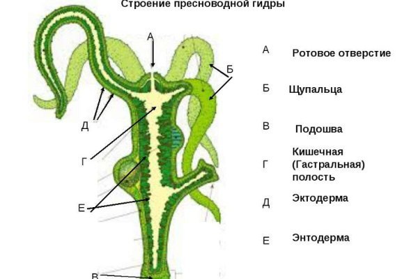 Зайти на кракен без тора