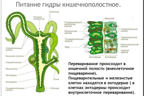 Ссылка кракена kraken clear com